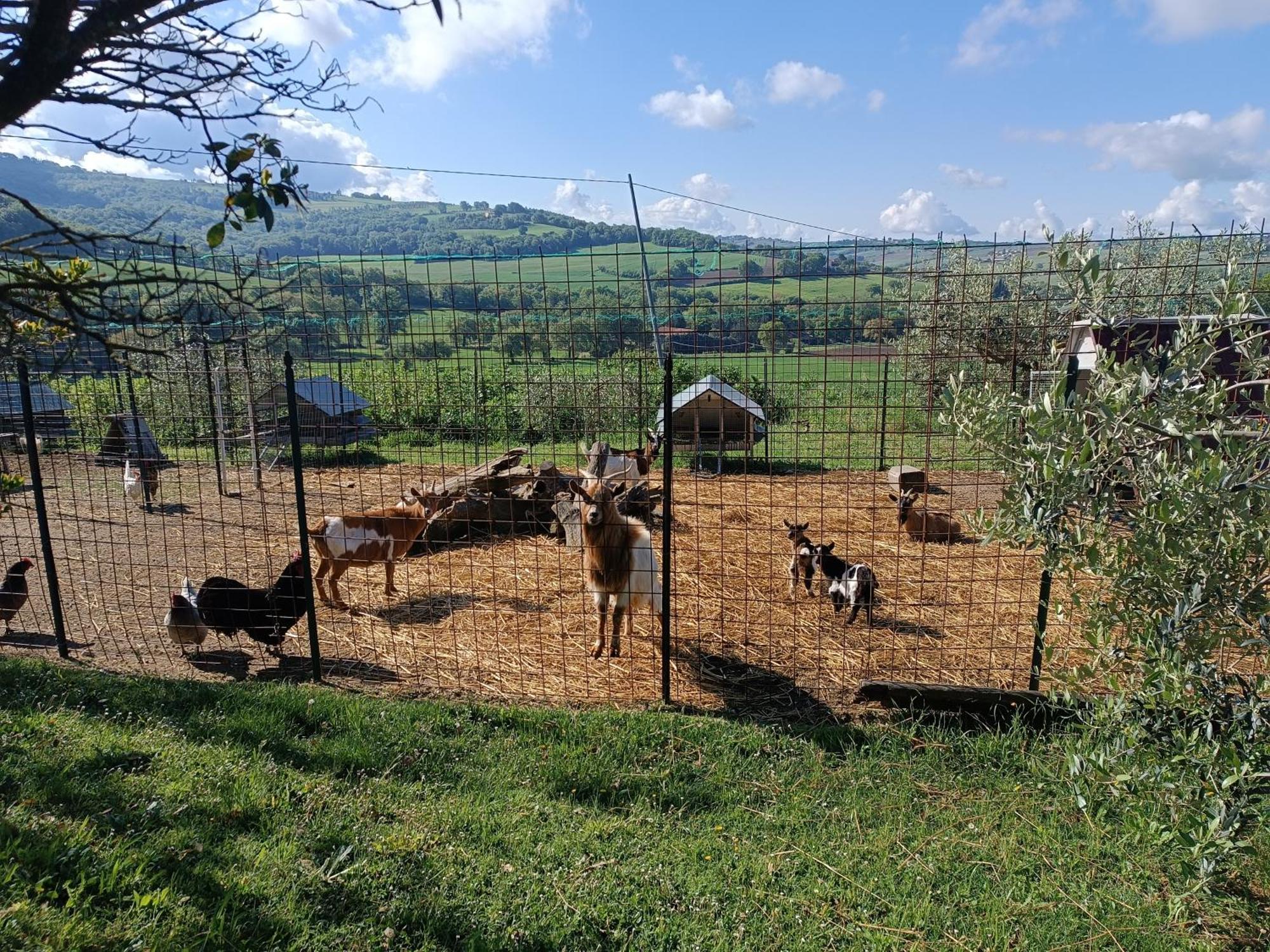 La Piccola Fattoria Villa Todi Exterior photo