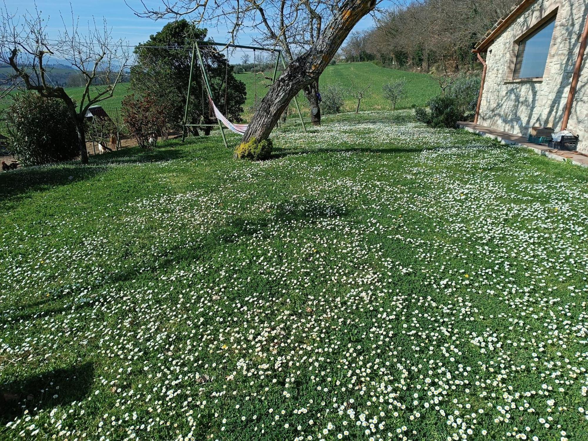La Piccola Fattoria Villa Todi Exterior photo